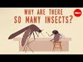 The Secrets Behind Insect Abundance