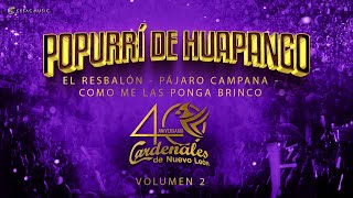 Cardenales de Nuevo León  40 Aniversario - Vol 2 - Popurrí De Huapango - (Video Oficial)