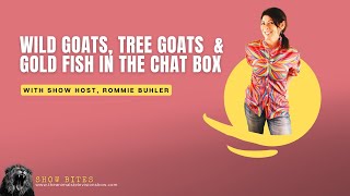 WILD GOATS, TREE GOATS & GOLD FISH-- FROM THEIR PERSPECTIVE!