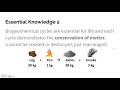 Energy Flow and Trophic Levels