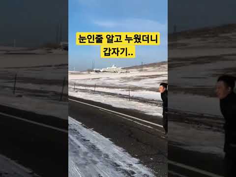 눈인줄 알고 누웠더니.. 갑자기.. #shorts