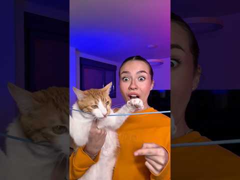 Sabéis cómo se llama? ❤️