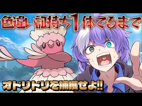 thumbnail_2jPJgicf7c8