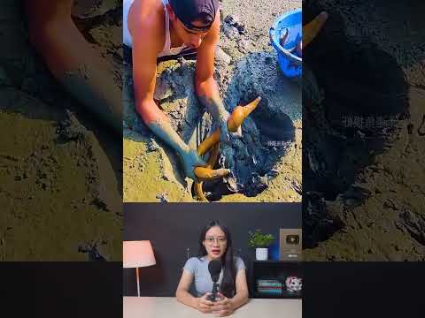 Câu cá ngoài trời Khỉ nước bắt lươn hoang trong ao cá ngoài trời #shorts #review #haisan #danhbat