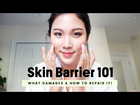The Cheapest & Most Effective Skincare : Skin Barrier โข How To Repair It