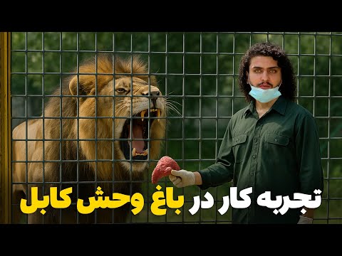 نان آور - تجربه کار نگهداری از حیوانات درنده در باغ وحش کابل