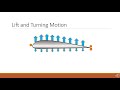 Understanding Lift and Flight Mechanics