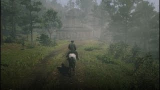 Red Dead Redemption 2_20240324104419