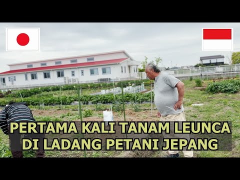 NGGAK NYANGKA PETANI JEPANG TAU TENTANG INI!