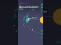 Understanding the Fall Equinox