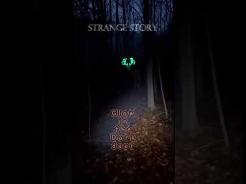Caught on Phone: This Deer's Antlers GLOW in the Dark Forest! Unbelievable!