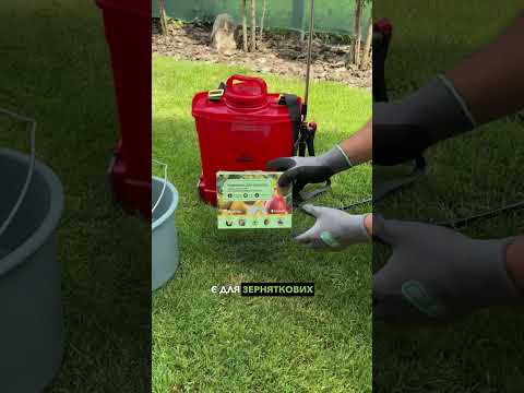 GreenBox — подарунок для тих, хто любить сад