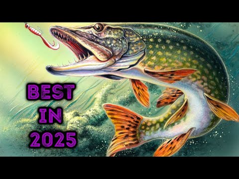 Best in 2025