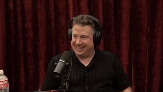 Joe Rogan Experience #2373 - Dave Landau