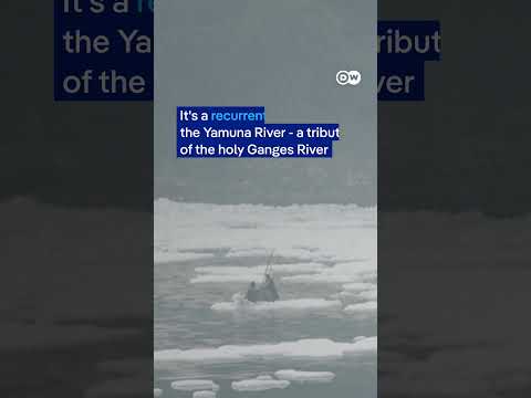 White toxic foam covers India's Yamuna River | DW News