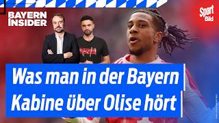 Michael Olise: Real Madrid, Liverpool oder die Ära beim FC Bayern? | Bayern-Insider