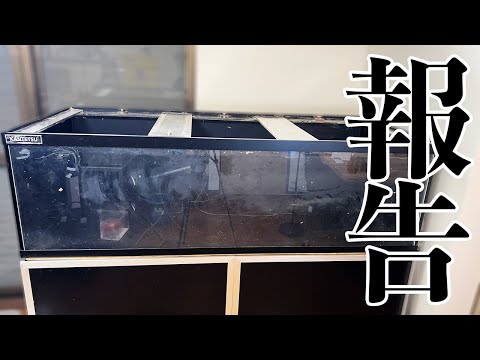 むさしとギンとスネオが亡くなりました。