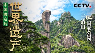 《中国微名片——世界遗产》（第三季）04 三清山国家公园：奇峰异石与森林交织的壮丽景观【CCTV纪录】