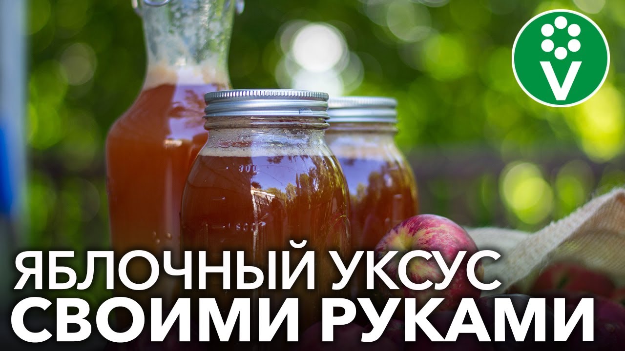 Самый простой рецепт яблочного уксуса! Понадобятся только яблоки