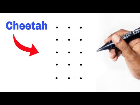 How To Draw A Cheetah | Tiger Drawing Most Simple way