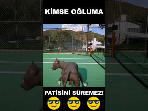 Baba Pitbull Yavrusunu Döven Katil Doberman!a Acımadı! 😱