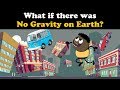 Impact of Insects and Gravity