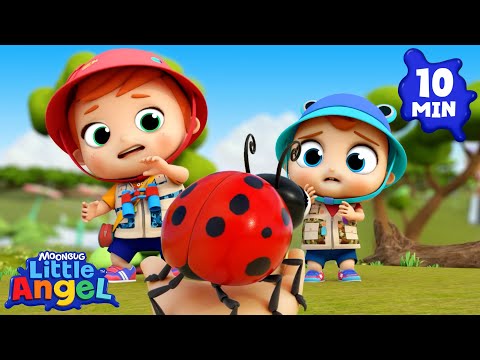 Learn About Bugs at the Insect Park! | Baby John’s Playtime Songs & Nursery Rhymes | Little Angel