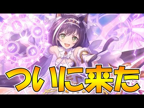 【プリコネR】ﾔﾊﾞｲﾔﾊﾞｲﾔﾊﾞｲ遂に、遂にプリキャルの実装が決まった!!!!!!!!マジで感謝ありがとうホント好き嬉しい幸せああああああああああああああ【プリキャル】【プリンセスフォームキャル】