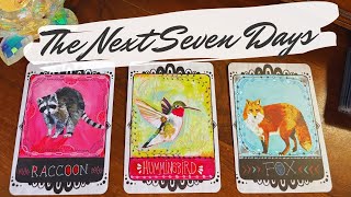 Your Detailed Week Ahead! 🔮 What Will Happen? pick a card reading