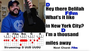 HEY THERE DELILAH - Plain White T's (Ukulele Play Along with Chords and Lyrics)