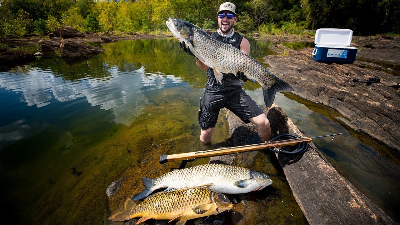 SpearFishing GIANT Carp To Feed Local Families! (underwater)