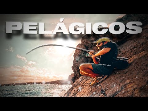 Pescando en TODOS los ESCENARIOS posibles [𝙇𝙖 𝙍𝙚𝙖𝙡𝙞𝙙𝙖𝙙 𝙙𝙚 𝙡𝙖 𝙋𝙚𝙨𝙘𝙖] | Lured Vlog 331