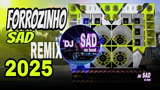FORROZINHO SAD REMIX 2025 - Perfeição, Paula Guilherme - Mc Pedrinho, ALTA QUALIDADE, GRAVE, MÉDIO💯💥