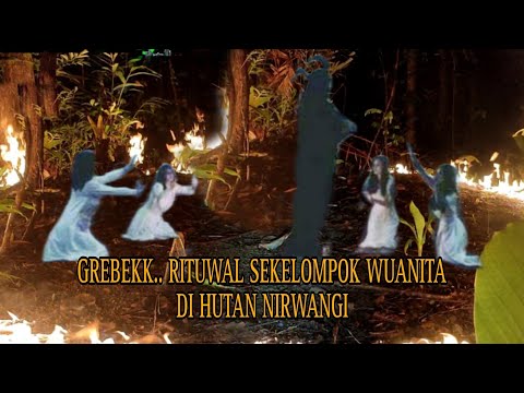 PENYEBAB HUTAN NIRWANGI DIHUNI BANYAK IBLIZZ...