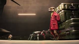 Compare the Meerkat - Advert 128 - Short Version