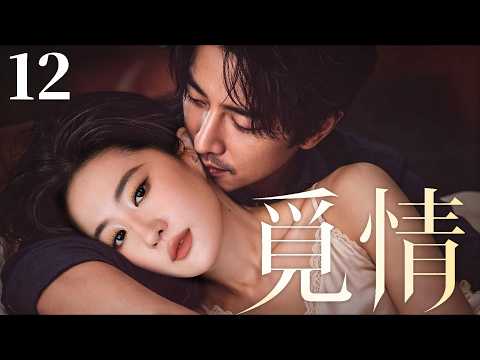 都市情感電視劇【覓情】▶ 12 | 劉亦菲和陌生男人一見鍾情，相愛後竟雙雙失憶，再次重逢後，背後竟藏著一場跨越多年的驚天陰謀（劉亦菲、李一桐、金瀚） 💖中劇放映廳