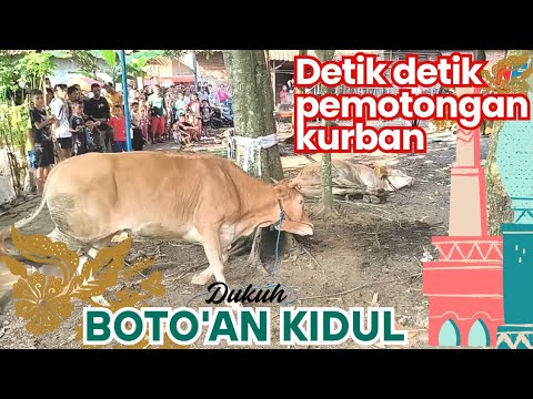 QURBAN TAHUN 1446 DUKUH BOTOAN