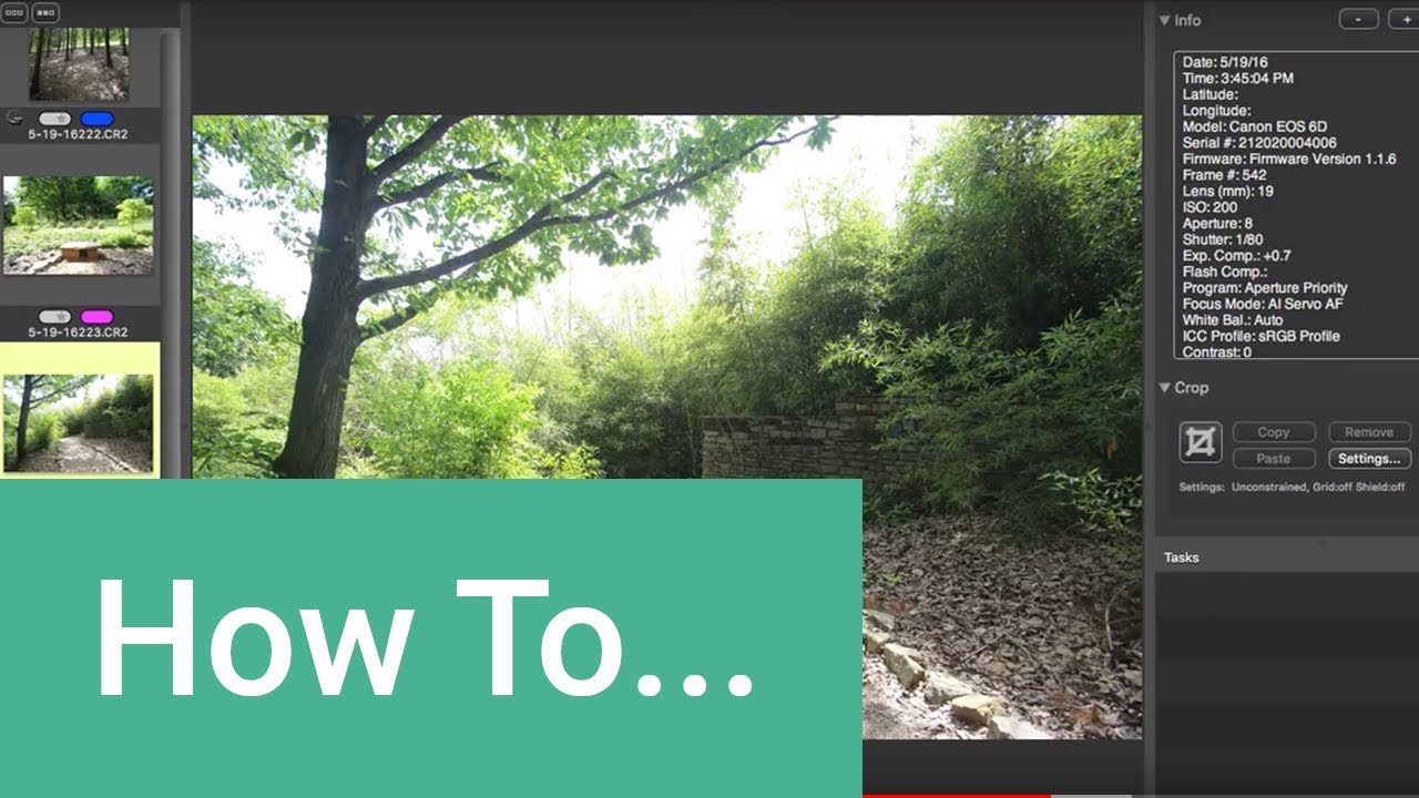 Photo Mechanic + Adobe Lightroom: How to Use Use Them Together - Envato