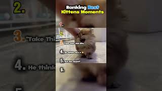 Cute Kittens Moments Part - 2