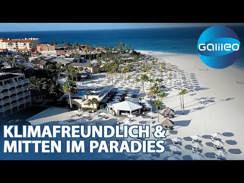 Wo Luxus auf Ökologie trifft: Das umweltfreundlichste Hotel der Welt - Bucuti & Tara Beach Resort