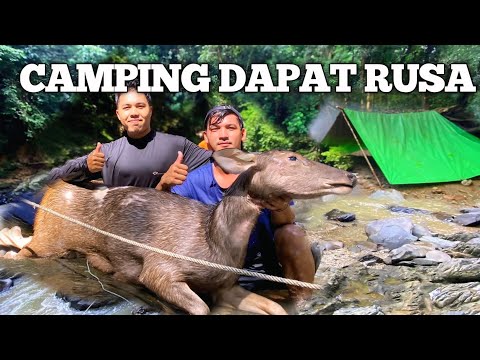 Camping Hujan Deras Dapat Rusa 5 Hari Pertualangan di Hutan Cuaca buruk Fishing and Bushcraft