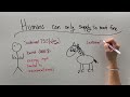 Understanding Compound Machines and Simple Machines