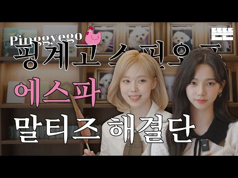 이달의 계원ㅣ9월 에스파 - 말티즈 해결단