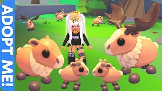 Returning to Adopt Me for the NEW Moose Family Pets!