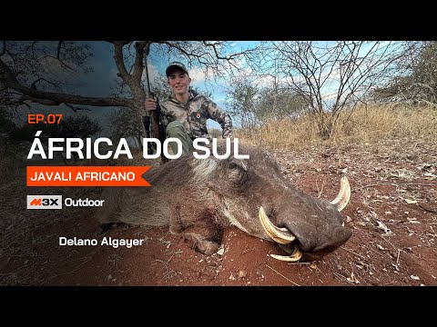 África do Sul - Javali Africano - Episódio 07