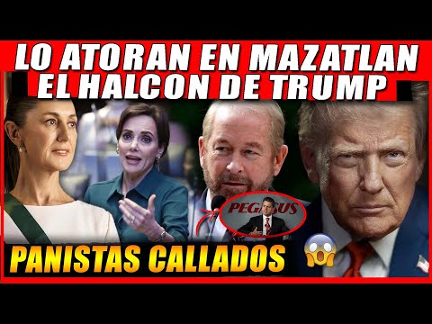 TÓMALA, EL HALCON DE TRUMP EN MEXICO, LA PRESIDENTA ES NOTICIA MUNDIAL, EL PAN SE QUEDA CALLADO