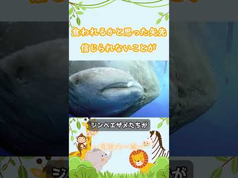 食われるかと思った矢先、思いもよらないことが起こった
