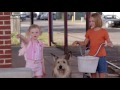 Understanding 'Because of Winn-Dixie'