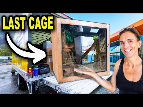 Last Giant Reptile Cages Arrive!