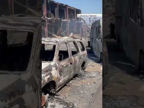 The heat of roads 'melted sandals' and burnt people's feet, says man who escaped Hawaiian wildfires